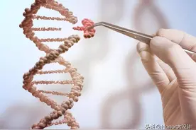 基因决定人类死亡时间？科学家表示：人的寿命30%与基因有关图片