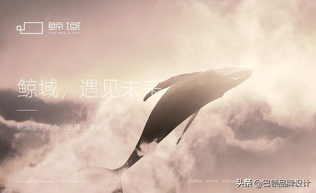 Ʒ�Ʋ߻��ľ�����������Щ��