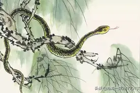 故事：古代志怪故事——高听，蜂翁，狗皮道士，刘生青词之谴图片