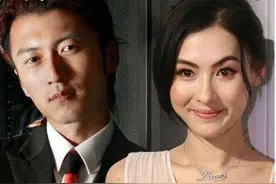 晒一晒王菲的年收入 谢霆锋的年收入张柏芝的年收入 差距有多大？图片