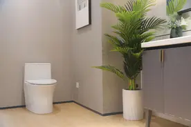 360评测丨恒洁超旋风C6坐便器：冲力强劲，节水抗菌图片