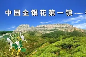 假期旅游好去处，临沂平邑郑城镇观音山欢迎您。图片