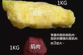 被忽悠了这么多年：体脂秤测的体脂率完全不准！真正准的方法是图片