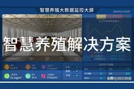 智慧农业物联网智慧养牛解决方案图片