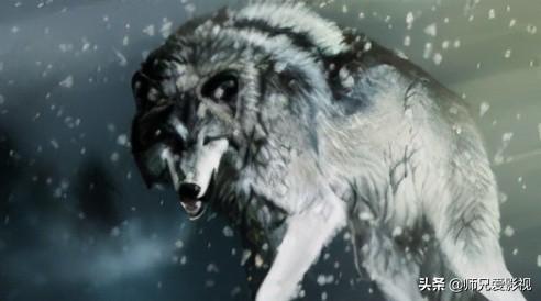 关于演绎狼的电影你知道哪些？