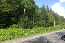 长白公路的大坡非常著名，两个多小时才能开到县城图片