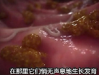 高中生物学习经验分享