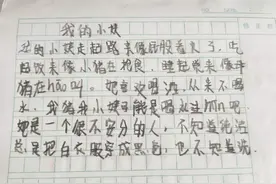 小学生作文《我的小姨》，全篇都是笑点，却引发了父母的深思图片