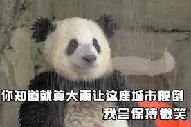 大熊猫的头套质量有多好？防咬防拽还防水图片