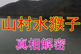 水库经常出现不明响声？山村水猴子真相解密图片