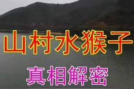 水库经常出现不明响声？山村水猴子真相解密图片