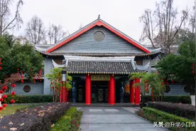 四川大学这个专业，500多分就能读，学费不高，保研率达17%图片