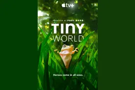 豆瓣9.6！娃刷到停不下来，还能看出人生大道理图片