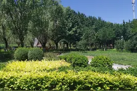 亚洲最大社区图片