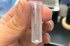 水+二氧化碳+电=淀粉图片