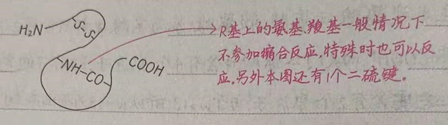 有关蛋白质的相关计算