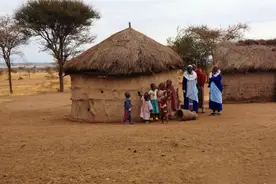 非洲人为何不愿耕种？并非土地不能种植，你看看地上长得啥就懂了图片