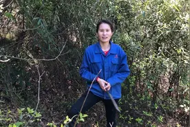 上山容易砍竹难图片