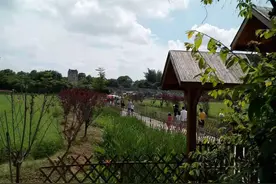 负债累累保密七年之后，最终还是人人皆知：纸是包不住火的图片