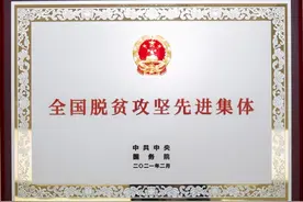 风雨同路 携手战贫——致公党重庆市委会谱写“致酉合作”动人之歌图片