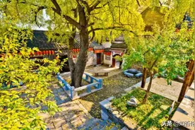 在农村，自家院子里栽几棵树为宜？种什么树好？这些禁忌要知道图片