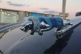 “奇葩车标”笑到肚痛！穿毛衣的捷豹，和小怪兽打架的东风标致图片