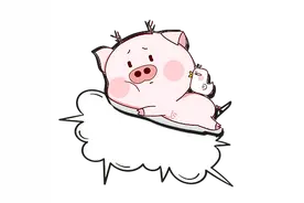 医基资料：女性内生殖器-子宫图片