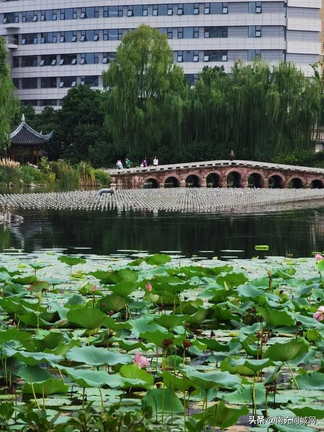 南充北湖公园的前世今生