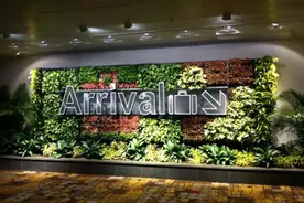 从中国入境新加坡最新政策，一文带你看懂各类准证如何入境图片