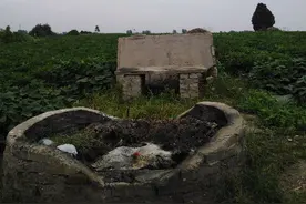 南阳乡村一土岗，无数人前来祭拜，是国家重点保护文物，有何秘密图片