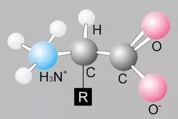 总计18种氨基酸，对农作物发育有4大影响，赶紧增施吧！