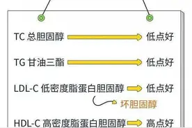 胆固醇和甘油三酯都是血脂！哪一项更重要？心血管医生有答案图片