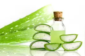 芦荟胶真的可以祛除疤痕吗？图片