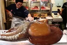 日本大厨是怎么活切章鱼的？看完整个过程，瞬间没有食欲了图片