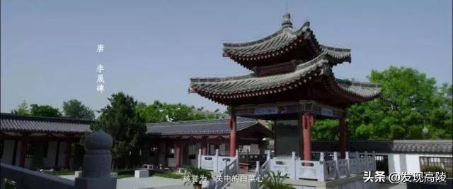 ����������δ�����귢չǰ������TA˵�����Ǿ��Ǹ����δ��