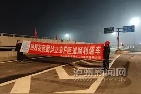 蜀泸立交F匝道通车！沱六桥往隆纳高速不再绕沱三桥图片