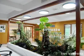 导光管采光系统比传统天窗好太多了图片