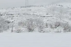 《踏雪、无痕》--雪后随想图片