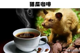 世界上真实存在的5大非常昂贵的饮料，其中一些有钱也很难买到图片