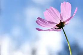 如此联系你的男人，其实是在暗示你，他想你了图片