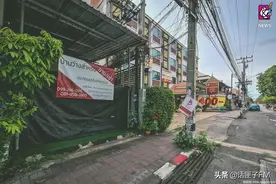 我等的人他在多远的未来？因疫情游客骤减，企鹅抑郁了图片