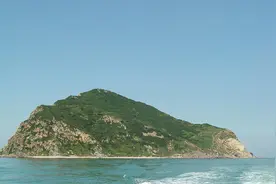 大连蛇岛上有20000条毒蛇，如果放2只蜜獾进去，结果会怎么样？图片