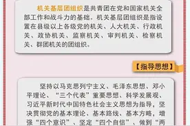 中国共产主义青年团党和国家机关基层组织工作条例（试行）图片