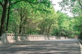 南京的露天剧场，又放鸽子了！图片