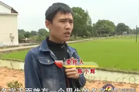 7年异地婚姻，男子在外打工养家，妻子和别人生娃“孩子是意外”图片