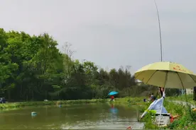 盘点钓鱼那些年干过最多余的6件事！鱼看了也想不通图片