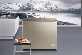 秋冬时节，澳柯玛冷柜为你储存更多鲜货图片