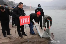 长江十年禁渔！云南5人非法捕捞被拘役 责令增殖放流修复生态图片