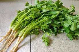 夜里翻来覆去睡不着，80岁奶奶告诉我一个方法，一把香菜解决难题图片