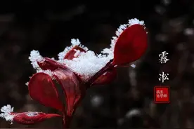 苹果手机拍照，要会这6个摄影技巧，你能拍美冬天景色图片